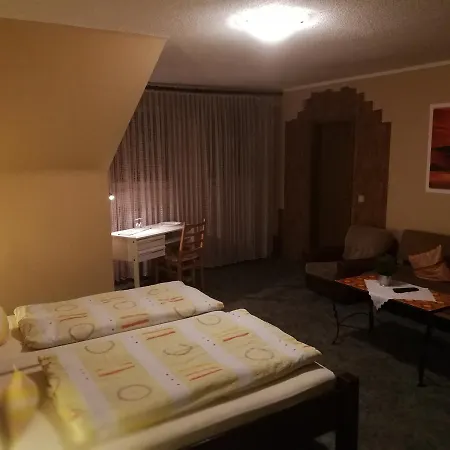 米勒酒店 2* 温特贝格